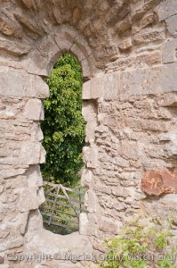 0885-0021-Corfe-Castle-Window-And-Gate