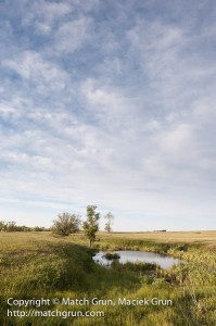 1154-0115-Pond-And-Big-Sky-On-The-Prairie