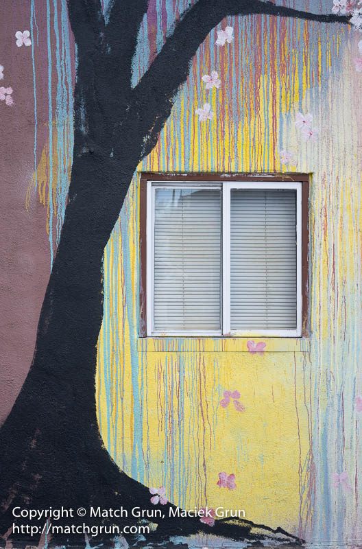 2312-0030-Yellow-Streaked-Wall-Tree-And-Window
