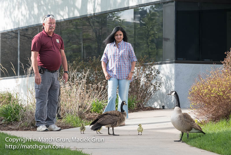 2318-0013-Hema-And-Tom-With-Geese