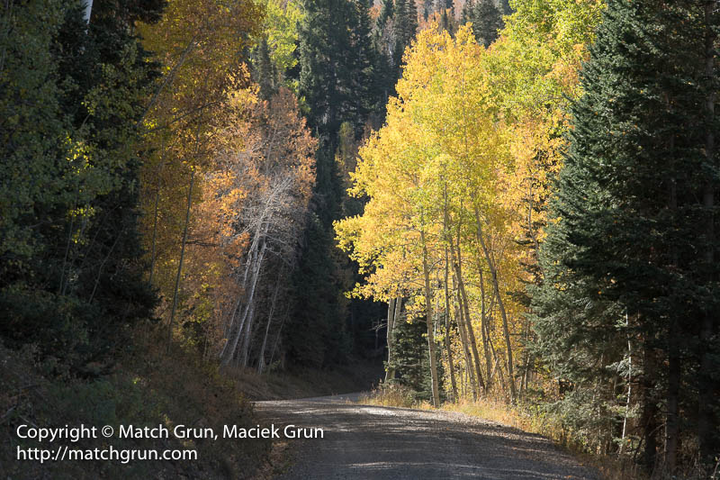 2368-0043-Fall-Colors-Along-Owl-Creek-Pass-Road