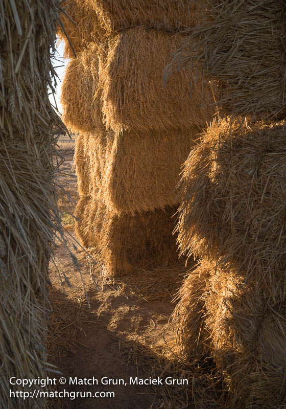 2372-0041-Inside-The-Tower-Of-Bales