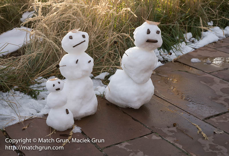 2376-0005-Snowmen-Family-Commons-Park