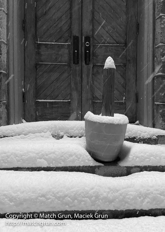 ip11-4274-Flower-Pot-In-The-Snow