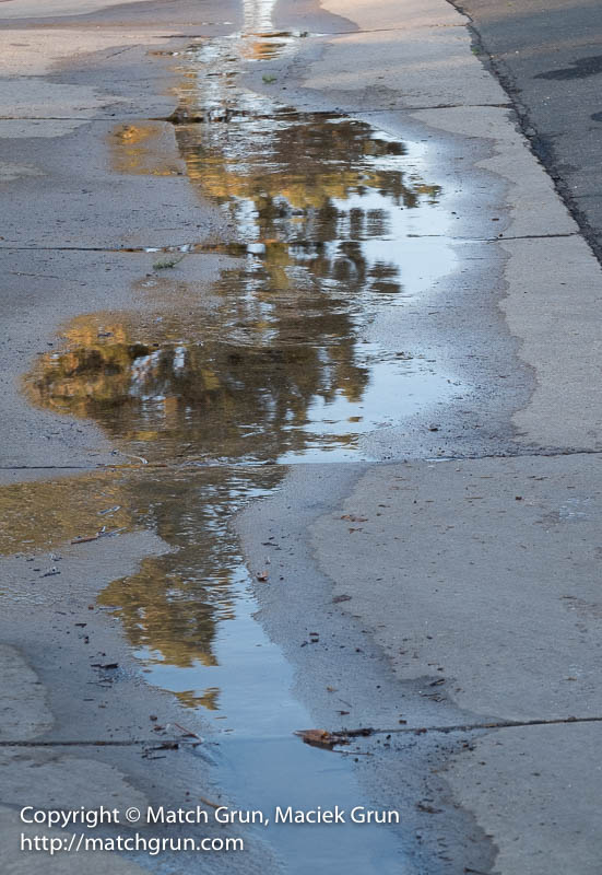 2542-0012-Sidewalk-Reflections
