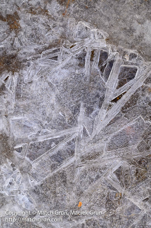 2681-0011-Ice-Patterns-In-The-Street