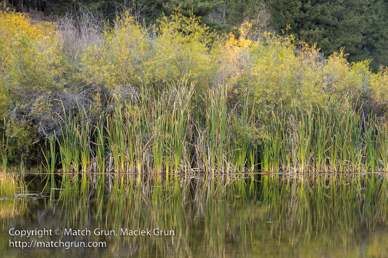 2749-0083-Mirror-In-The-Pond-Near-Buena-Vista