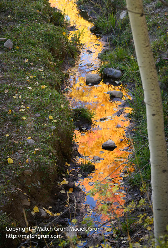 3038-0013-Aspen-Reflections-In-Irrigation-Ditch