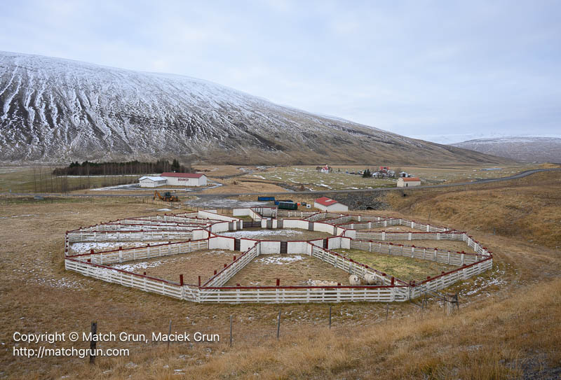 3085-0033-Farm-Buildings-And-Sheep-Holding-Pen