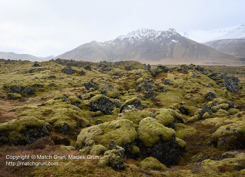 3104-0008-Moss-Covered-Lava-Flow-Near-Grundarfjordur