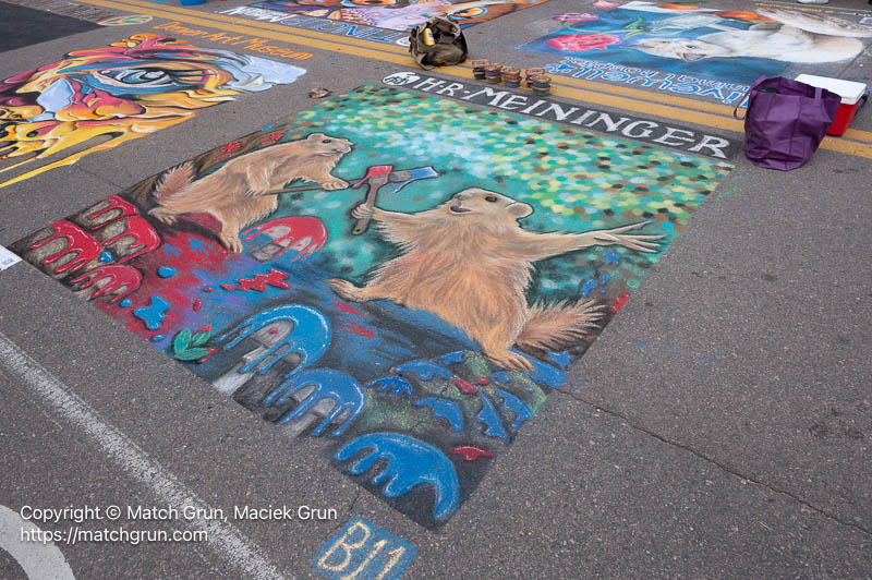 3204-0009-Meininger-Squirrels-Chalk- Arts- Festival