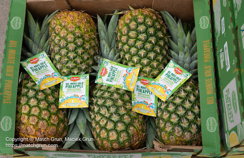 3204-0026-Pineapple-Juice-Booth-Supplies