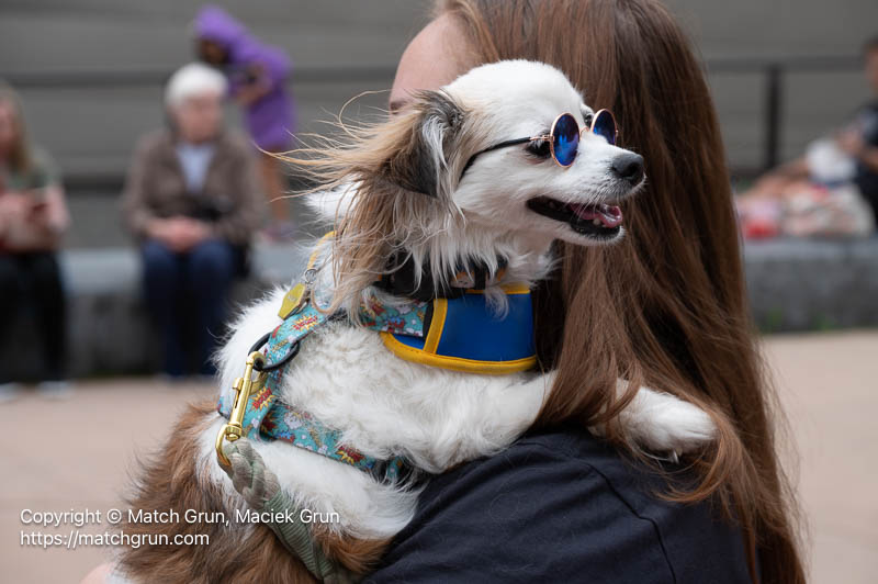 3204-0046-Cool-Dog-And-Owner