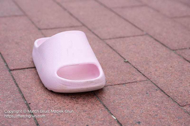3204-0063-Lost-Pink-Shoe
