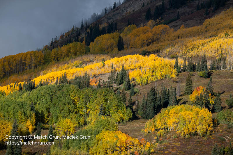 3248-0060-Aspen-And-Low-Cloud-Over-Ohio-Pass