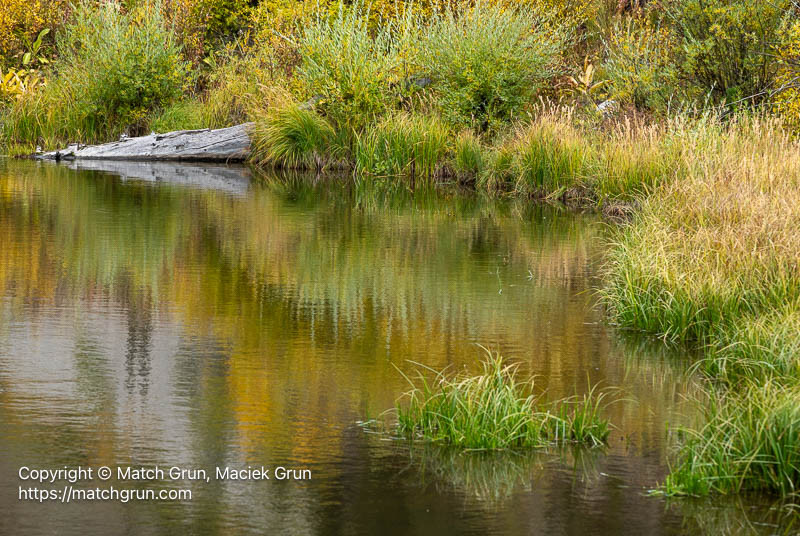 3249-0016-Fall-Color-Reflections-In-Carbon-Creek