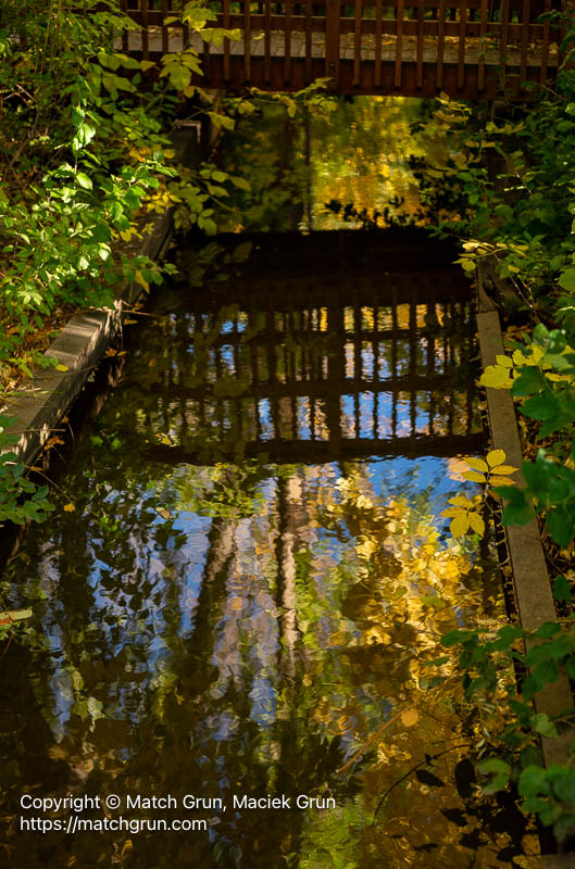 3268-0004-Reflections-In-City-Ditch