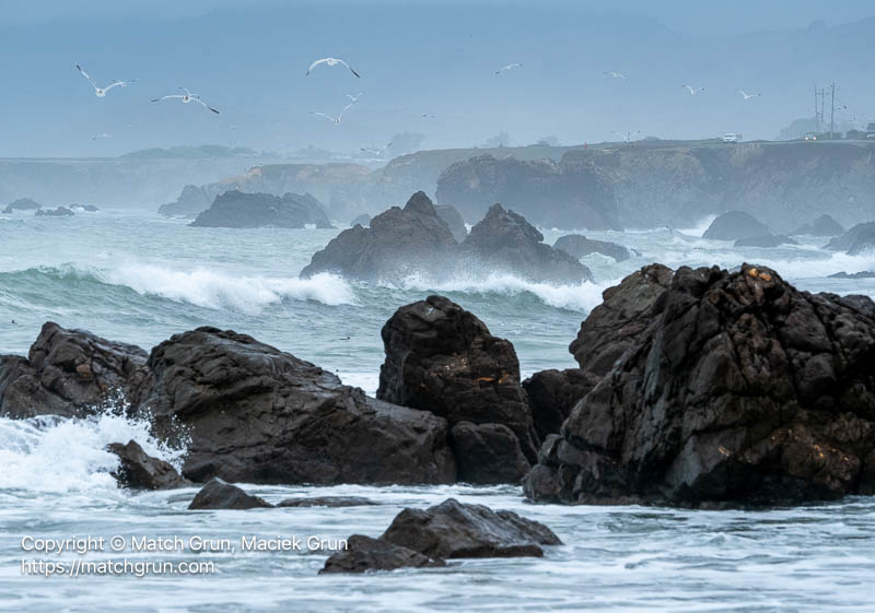 3278-0058-Rocks-Waves-And-Gulls-Salmon-Creek