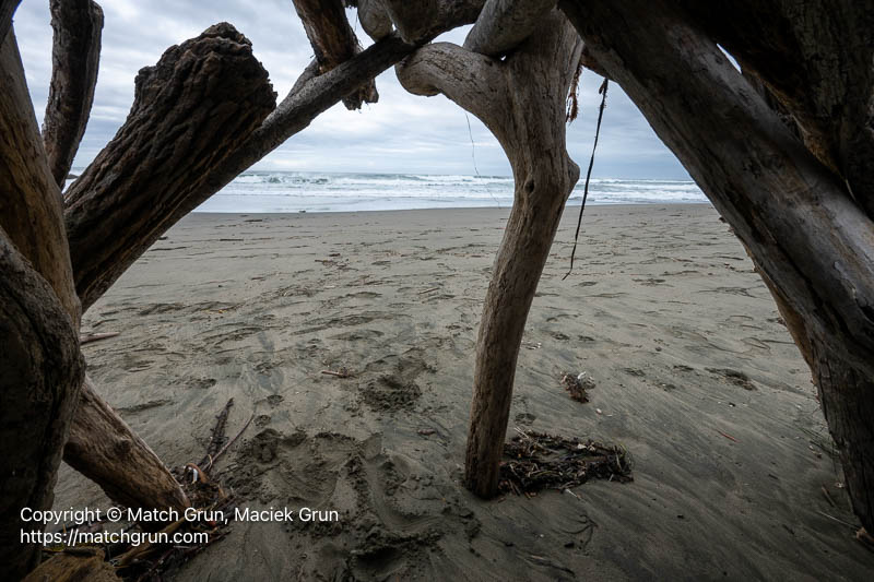 3278-0083-Looking-Out-Of-Driftwood-Shelter