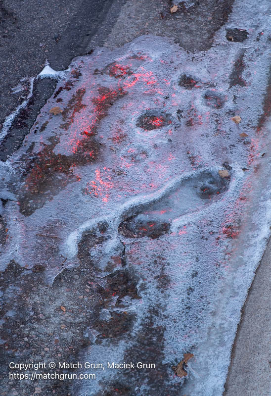 3321-0009-Reflections-In-The-Street-Ice