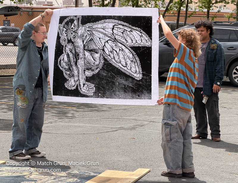 ip17-0331-Steamroller-Print-No-2