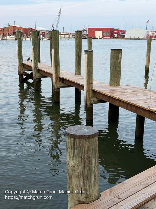 ip17-0431-Cambridge-Harbor-Moorings